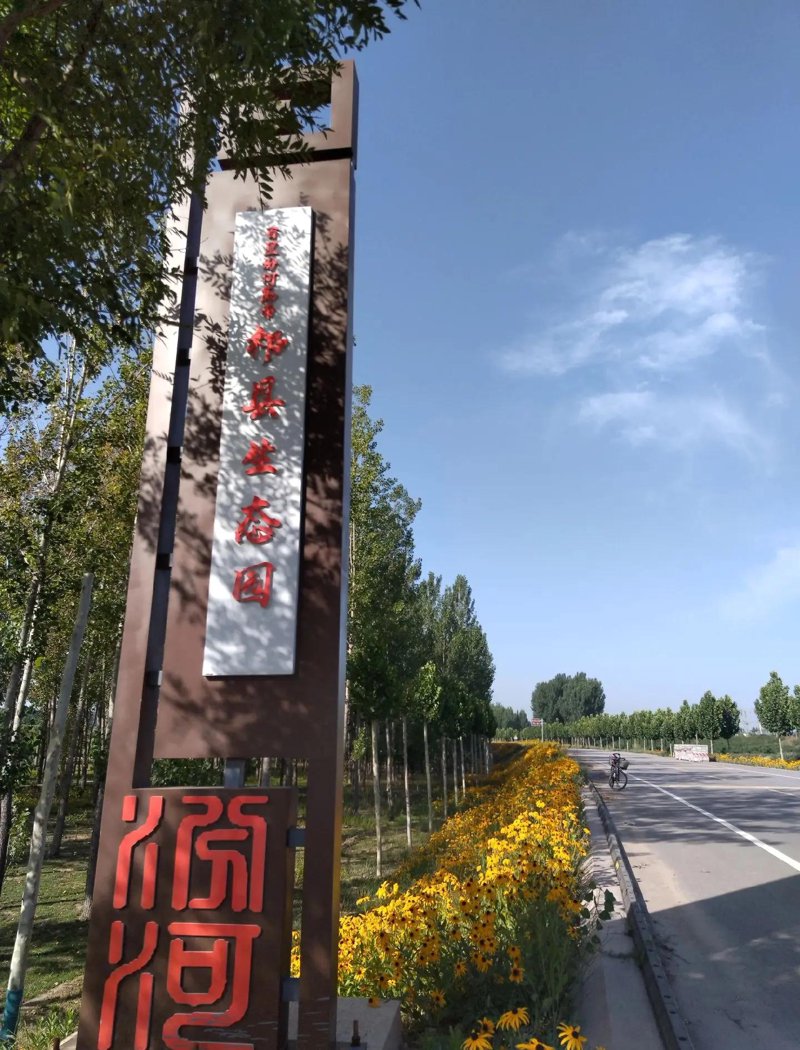 自由搏击:一拳一脚的实战攻略